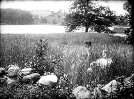 Scene 2 - the family in the wheat field